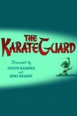 Том и Джерри: Каратист-хранитель